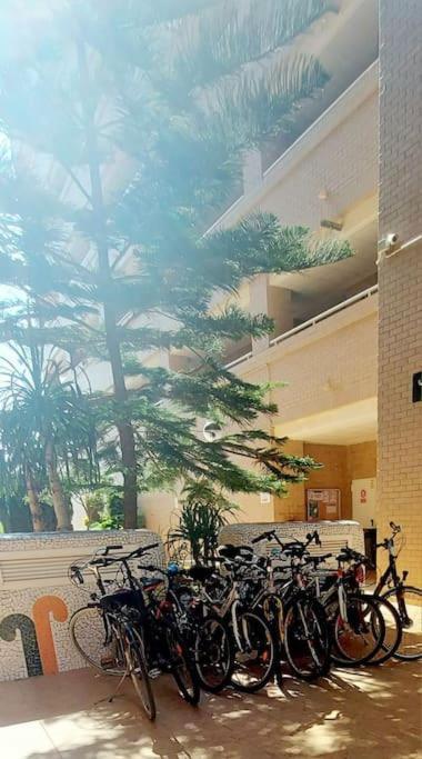 Apartamento Oropesa Del Mar- Marina D'Or- Magic World Vt30371Cs 외부 사진